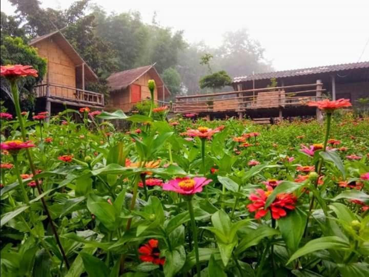 Baan Aingdoi Homestay, Chiang Dao Exterior foto